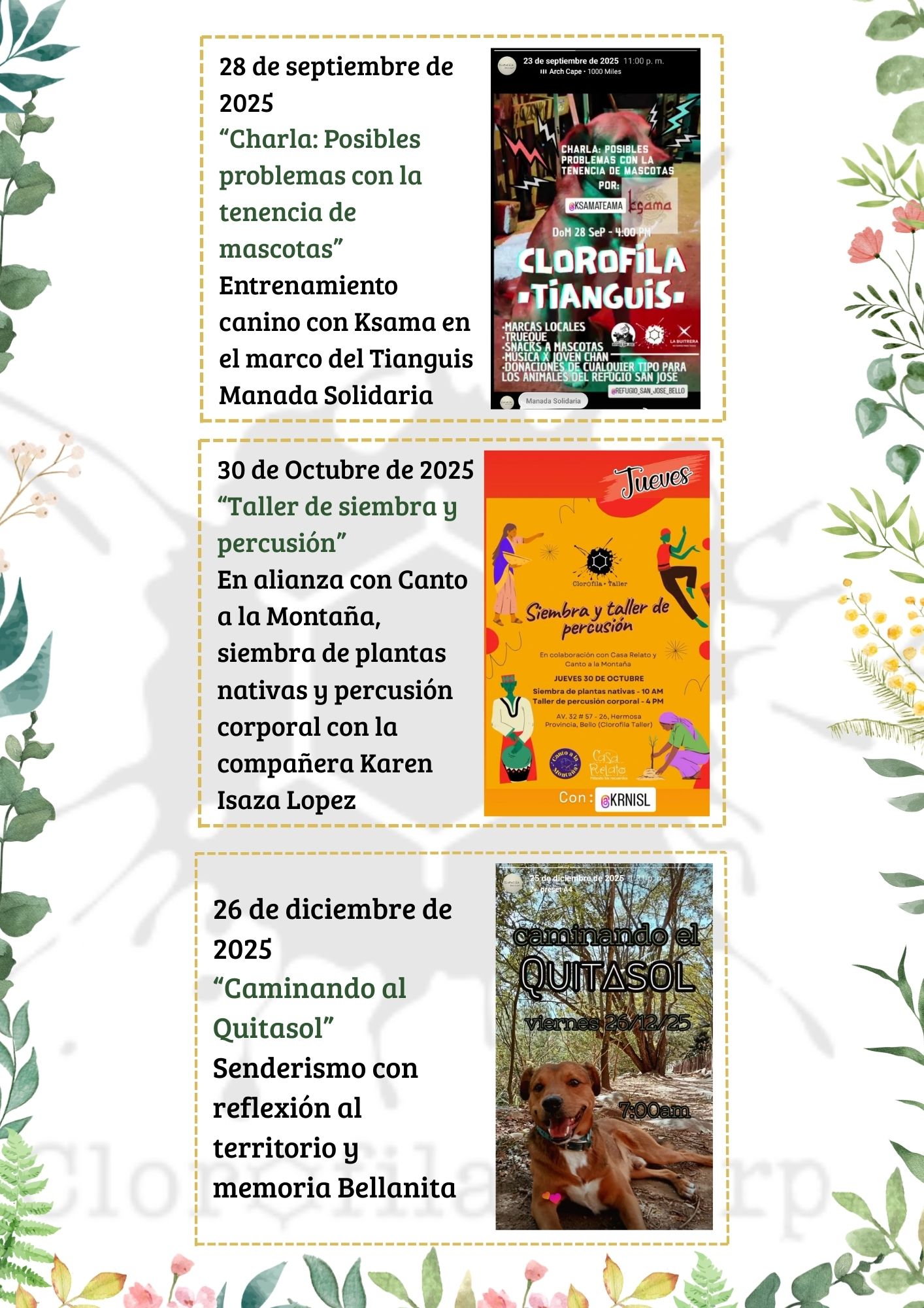 Página 3 del informe de gestión 2025