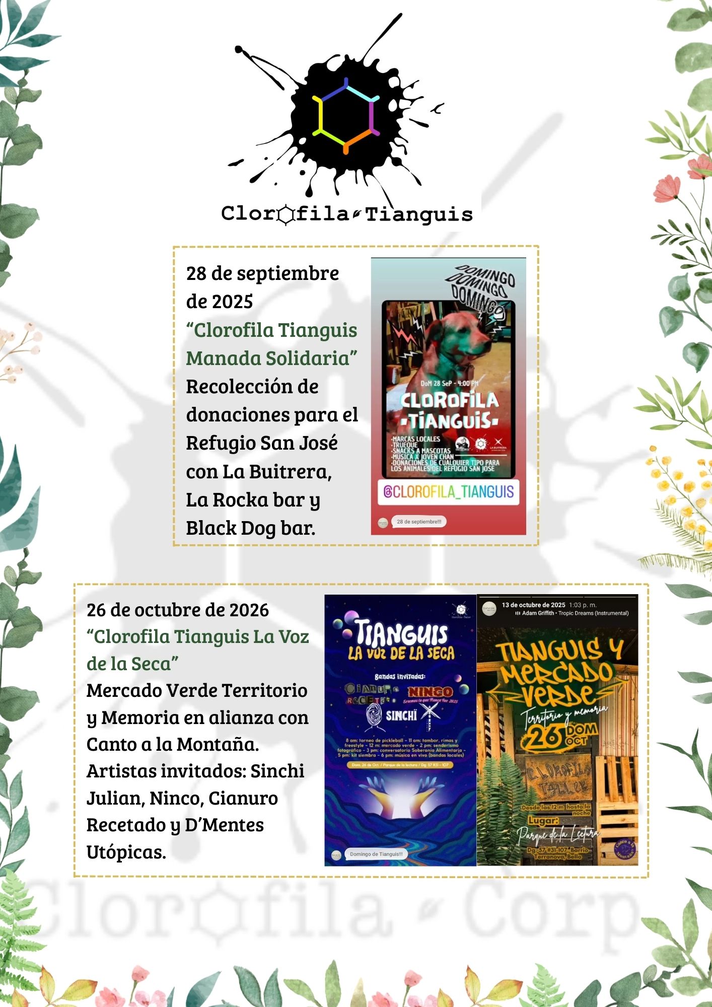 Página 5 del informe de gestión 2025